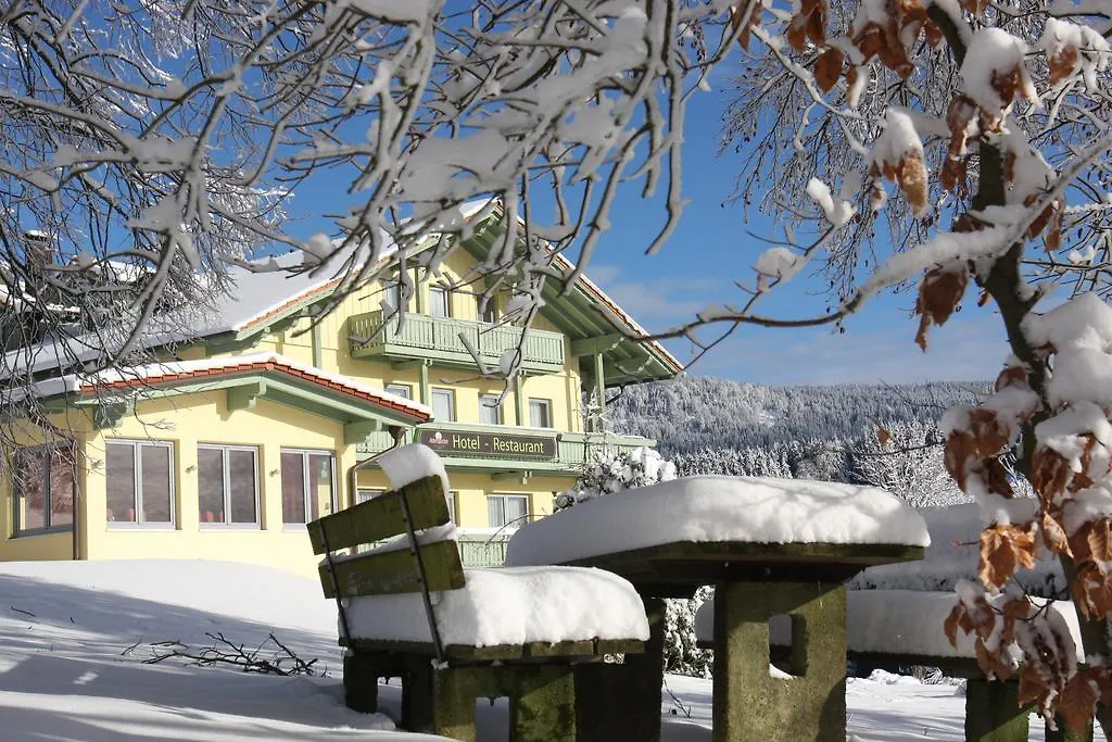 Hotel Gasthof Reiner Sankt Englmar